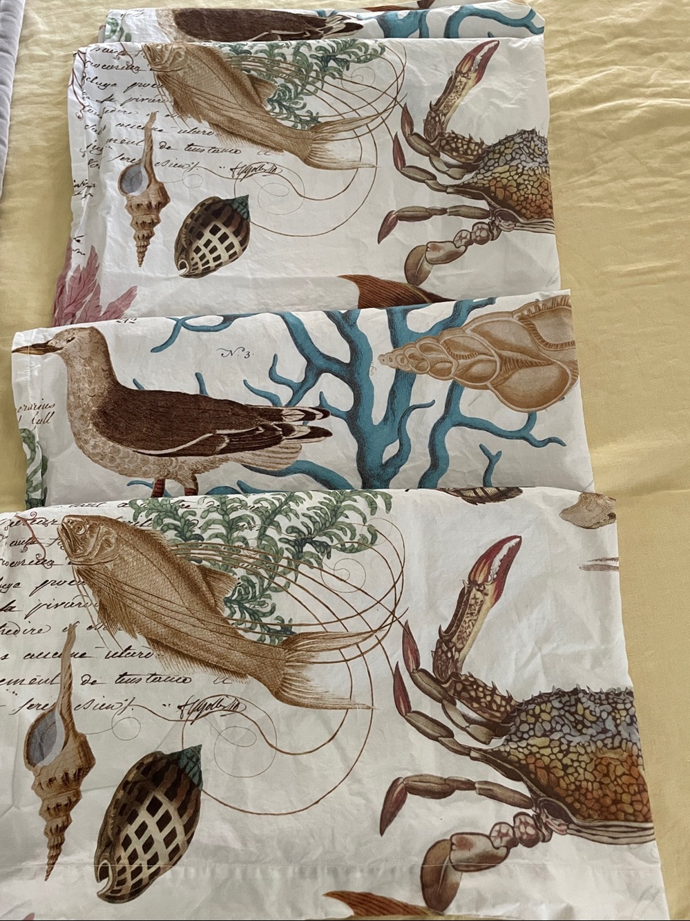 Pottery Barn discontinued Coastal Sea Life shower curtain 72 x 72